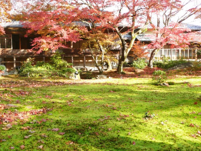 嵐山で紅葉シーズンに着物レンタルをして宝厳院