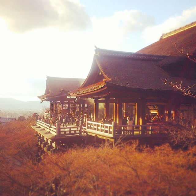 清水寺で紅葉シーズンに着物レンタル