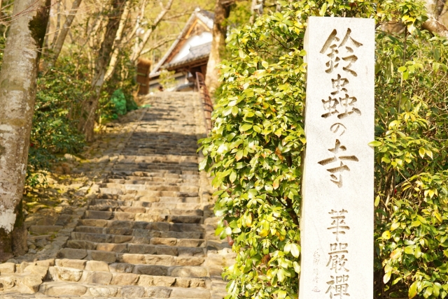 着物レンタルをして鈴虫寺