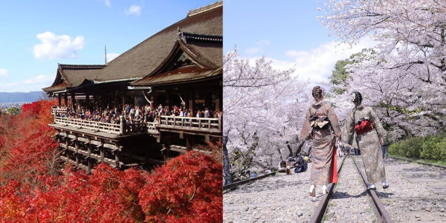 京都着物レンタル梨花和服の当日予約