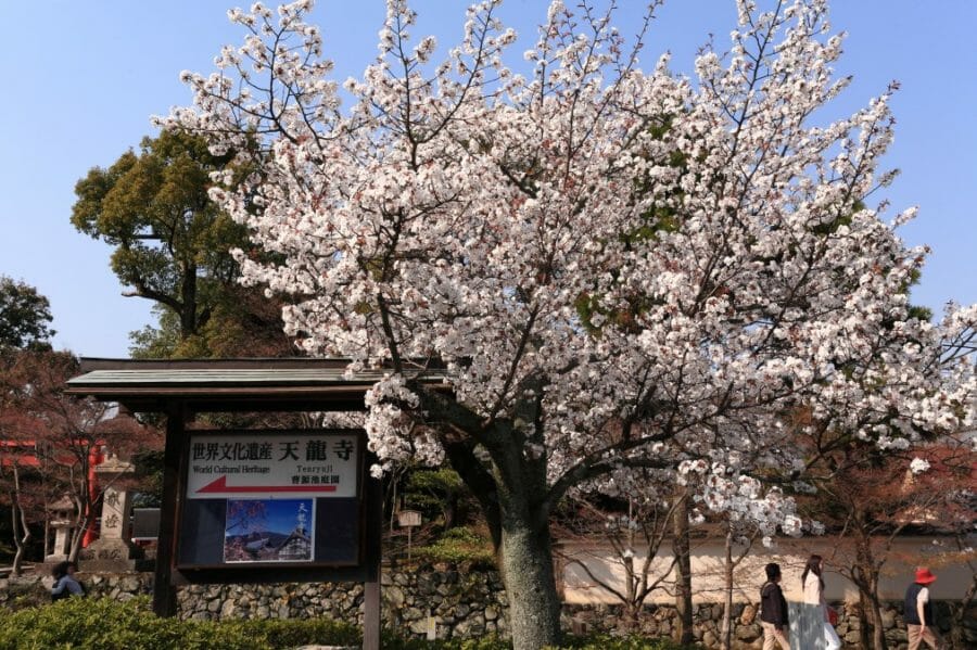 嵐山天龍寺で無料の座禅体験！