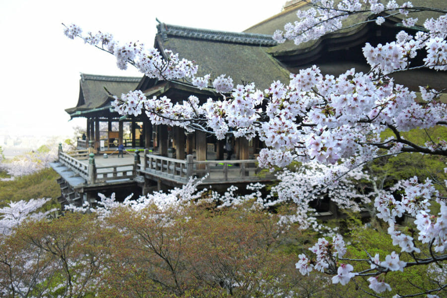 清水寺に行って写経を初体験