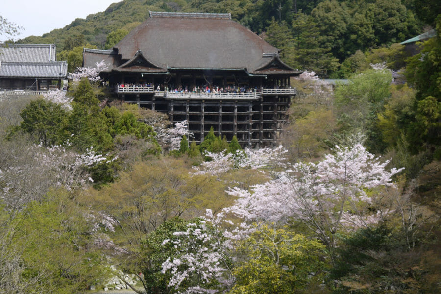 11時 まずは清水寺に行こう！