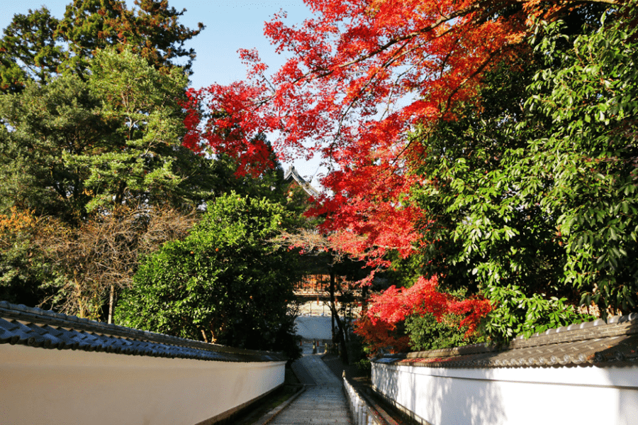 16時 タクシーで八坂神社