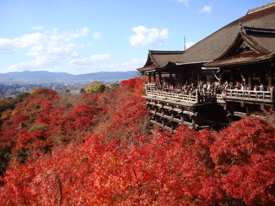 紅葉の清水寺