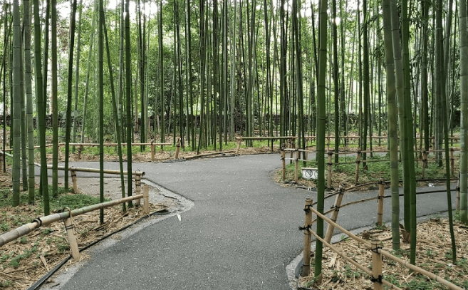 縁結びで有名な京都・嵐山のパワースポット「野宮神社」を紹介！