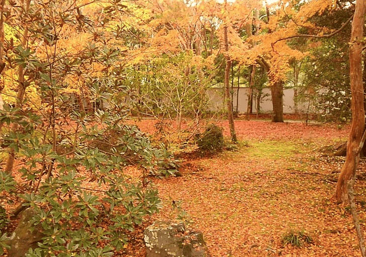 嵐山店のお知らせ